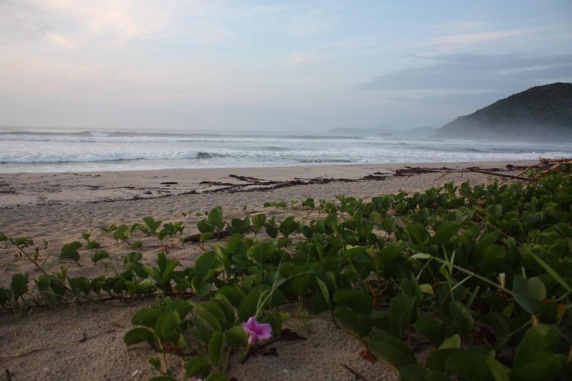 Maloquinha Itamambuca. A Mais Charmosa De Ubatuba. Екстер'єр фото